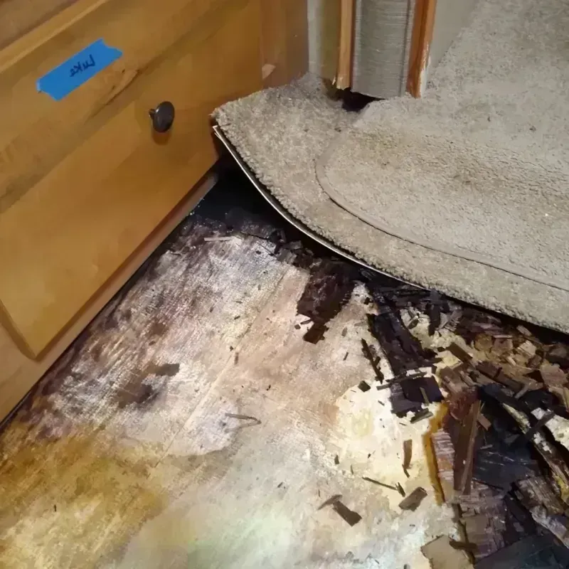 Wood Floor Water Damage in Eagle Mountain, UT